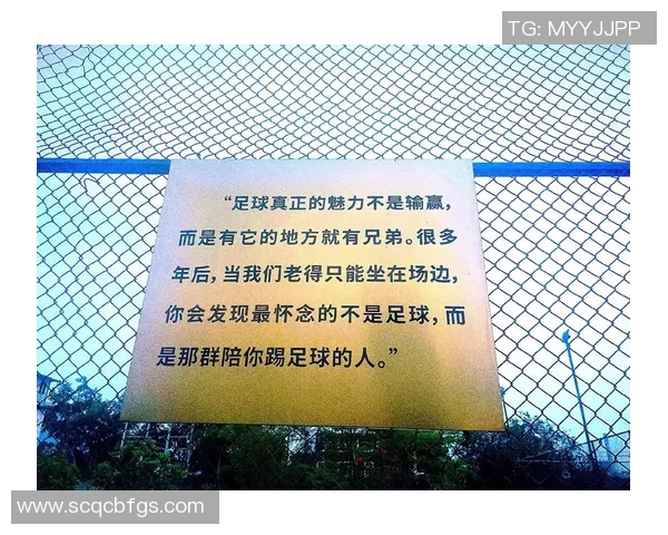 足球的魅力与争议：反驳传统观念的多元视角探讨